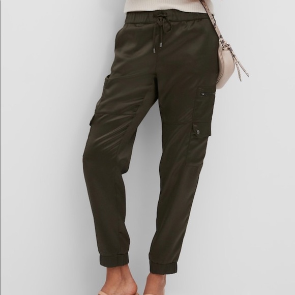 Banana Republic Pants - NWT Banana Republic Shine Soft Cargo Pant XS